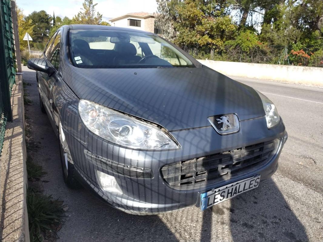 Peugeot 407 - 2.0 HDI SIGNATURE